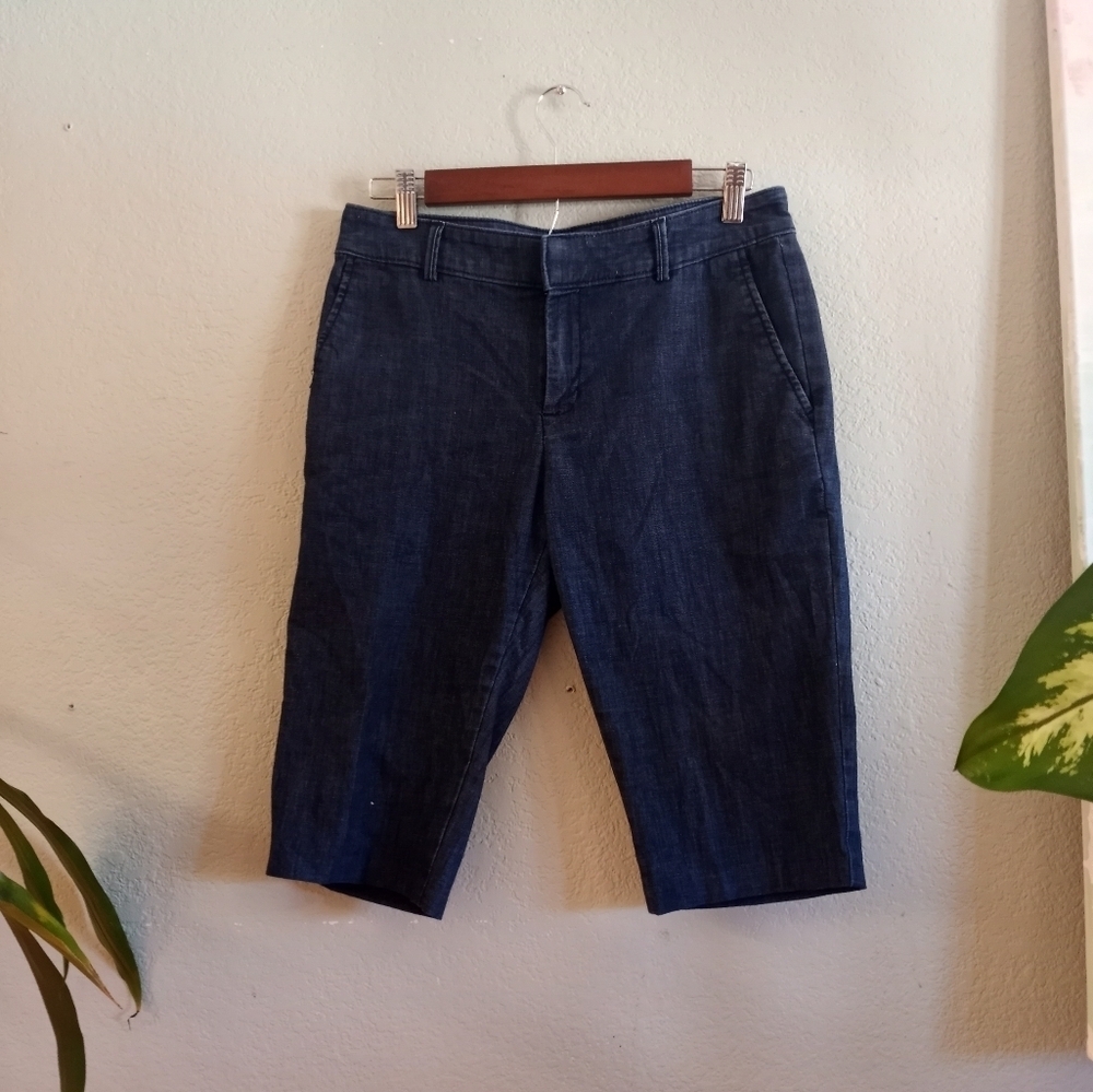 Banana Republic Hampton Fit Preppy Dark Wash Denim Flat Front Shorts